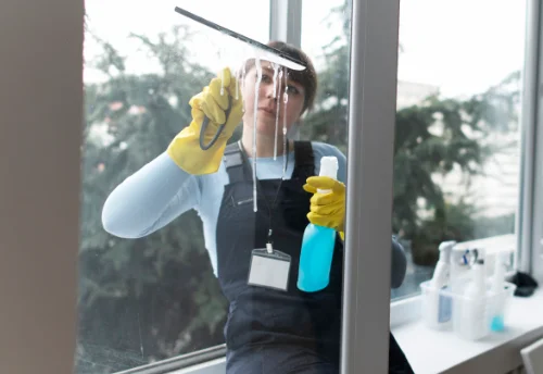 Nettoyage de vitres intérieures et extérieures à Beaurieux